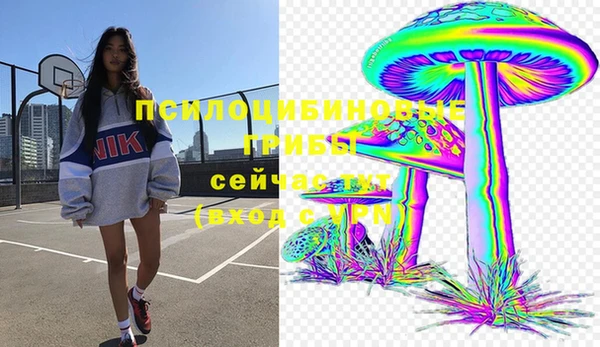 гашик Баксан