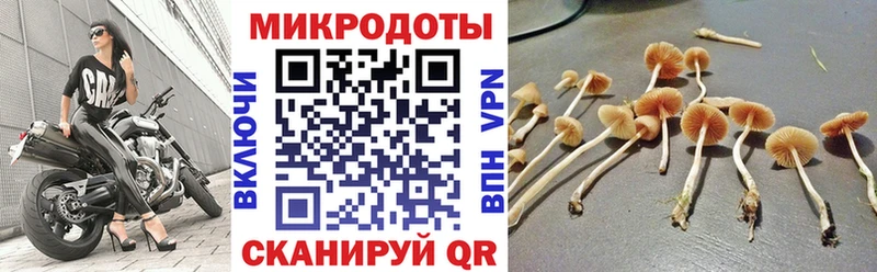 Галлюциногенные грибы MAGIC MUSHROOMS  Новоаннинский 